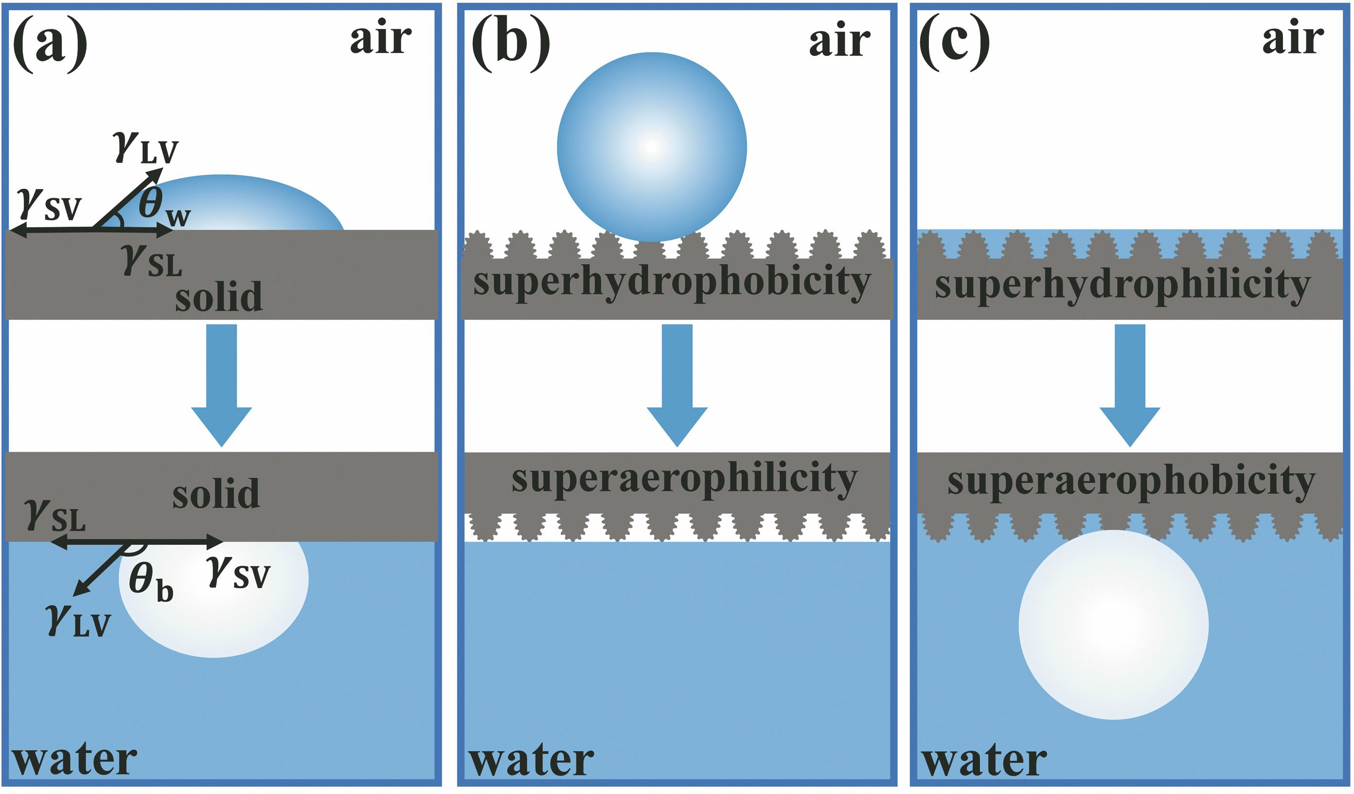 Relationship between wettability of solid substrates in air and water. (a) Schematic of water contact angle (θw) in air and the bubble contact angle (θb) in water; (b) superhydrophobic/superaerophilic surface; (c) superhydrophilic/superaerophobic surface