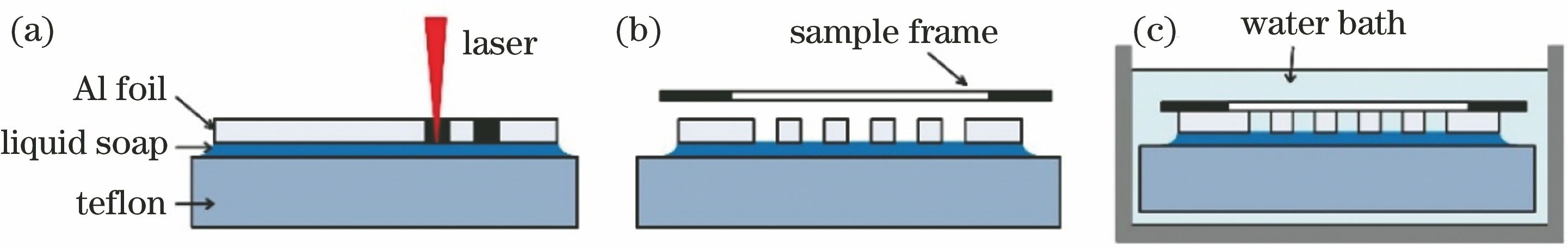 Procedure of sample preparation