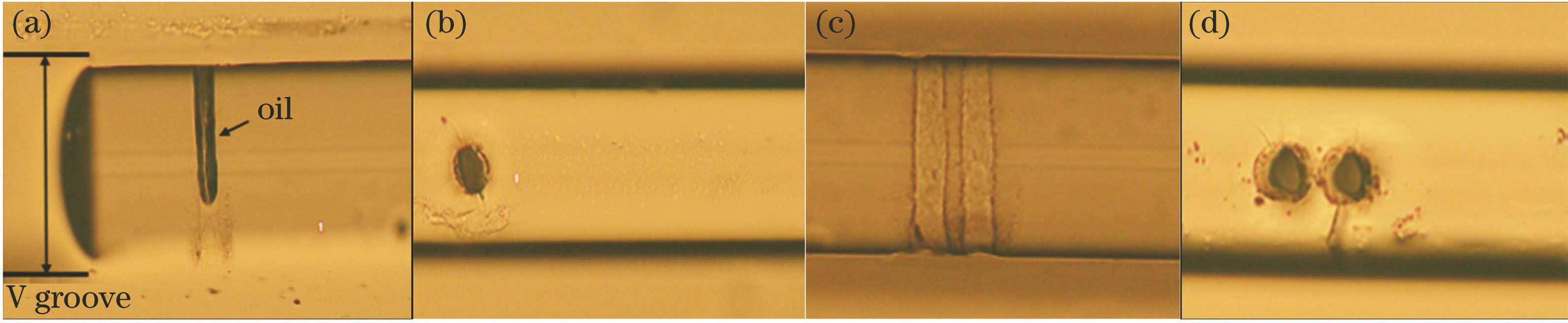 Micrographs of columnar microholes. (a) Side view of single hole; (b) top view of single hole; (c) side view of two holes; (d) top view of two holes