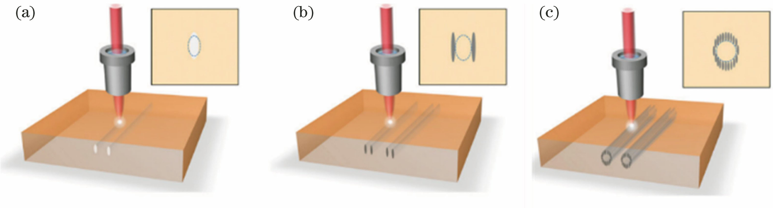 Three types of waveguides directly written by femtosecond laser and their cross-sectional configurations (insets). (a) Type I; (b) type II; (c) depressed cladding waveguide[18]