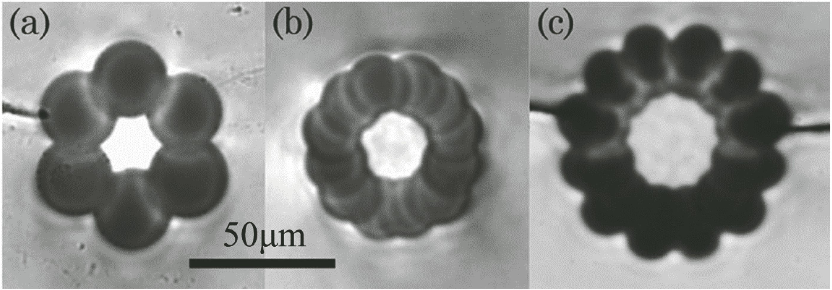 Waveguide structures written by femtosecond laser in ZBLAN glass with different numbers of lower refractive index tracks. (a) 6; (b) 12; (c) 24[41]