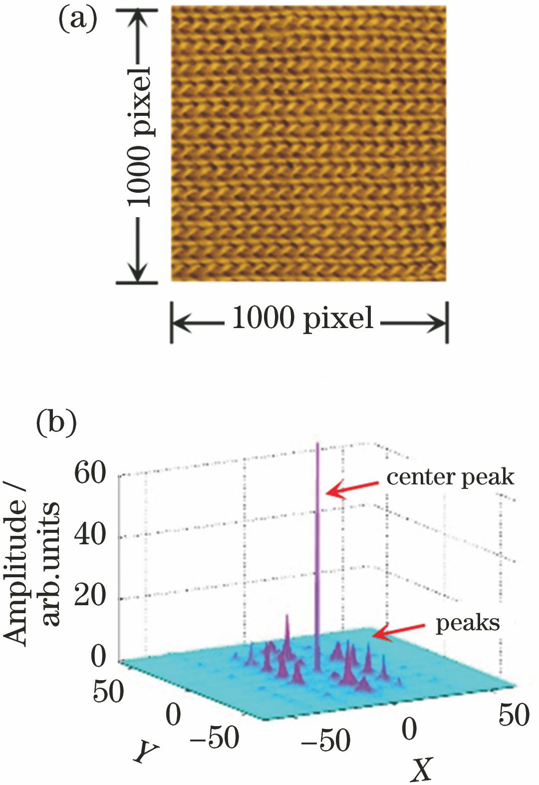 Typical periodic texture image and spectrum characteristic. (a) Fabric image; (b) 3D spectrum with a series of characteristic peaks