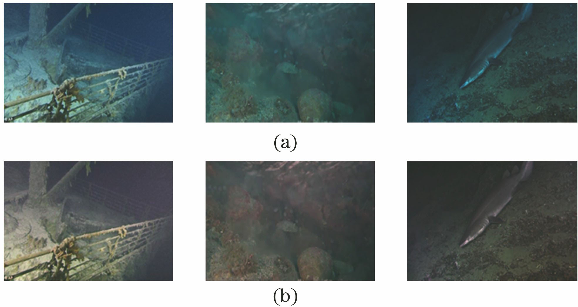 Color correction results of low illumination underwater images. (a) Low illumination underwater images; (b) color correction results