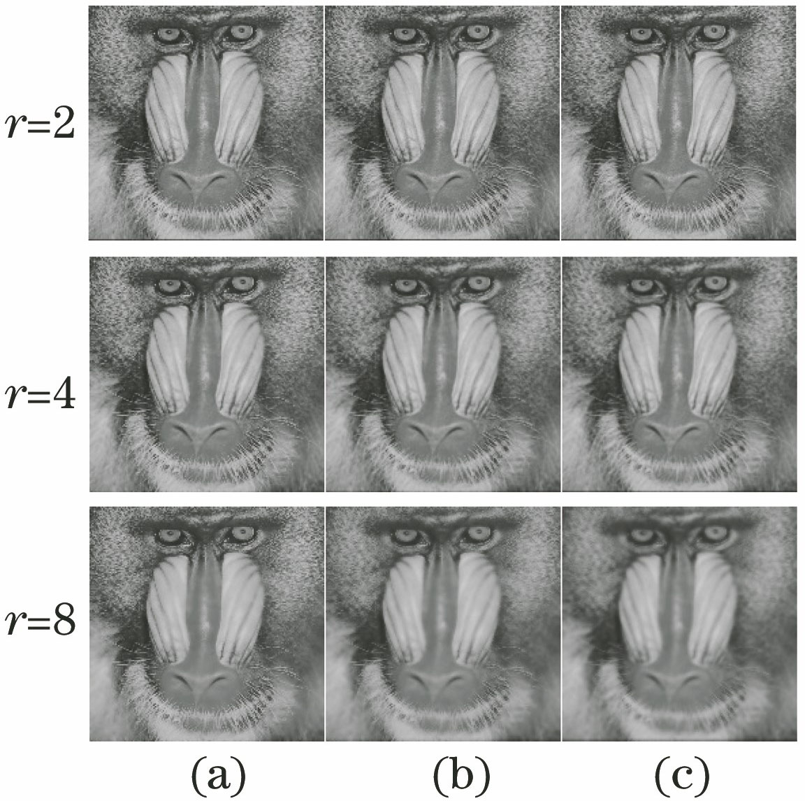 Diagram of images smoothing filter effect with different r and ε. (a) ε=0.01; (b) ε=0.04; (c) ε=0.16