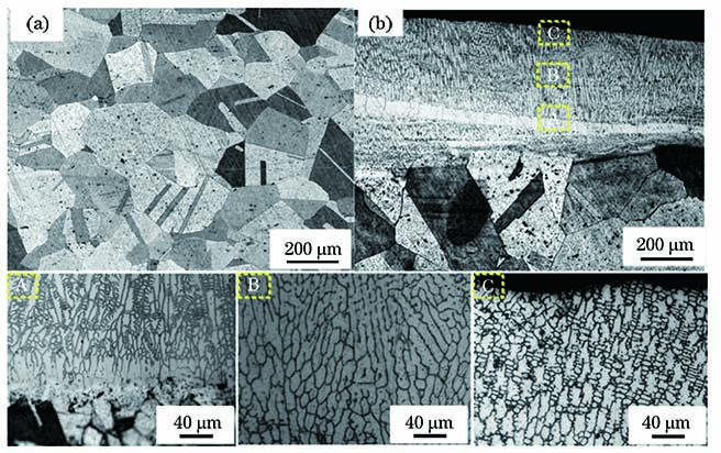 Microstructures of 316L stainless steel before and after remelting. (a) Microstructure of 316L stainless steel before remelting; (b) cross-section microstructure of 316L stainless steel after remelting and its partially enlarged images