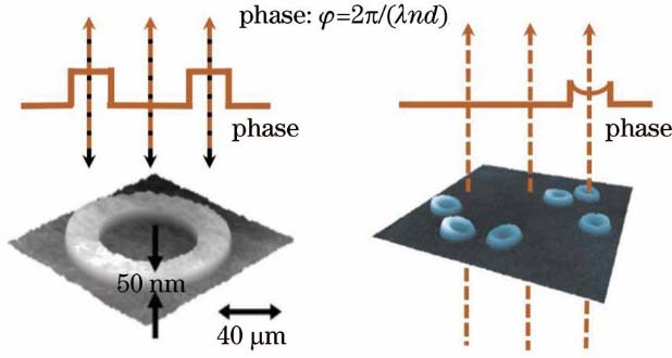 Measurement of 3D profile and refractive index via phase imaging