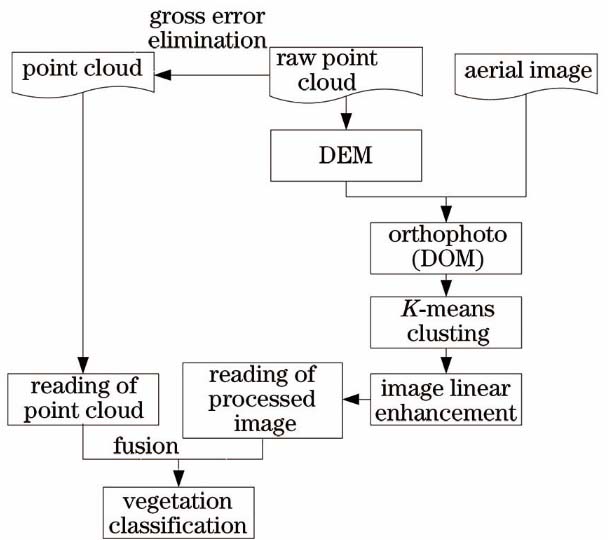 Aerial image assisted airborne laser point cloud vegetation automatic classification process