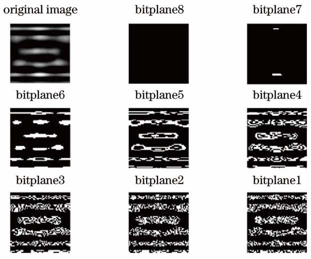 Binary image split by grayscale image