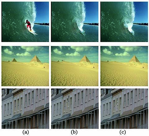 Inpainting effect of global search and dynamic range search. (a) Original images; (b) global search; (c) dynamic range search