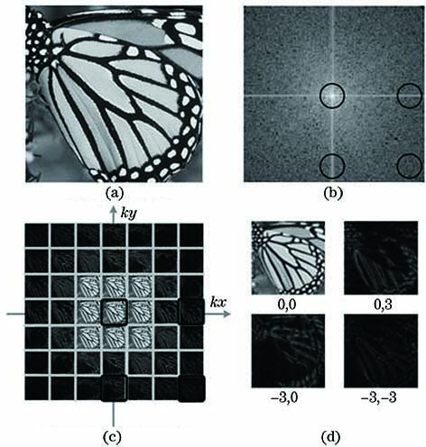 Examples of 7 × 7 low-resolution images acquired by FPM. (a) Original image; (b) Fourier spectrogram; (c) low-resolution image; (d) images observed by LEDs in different positions