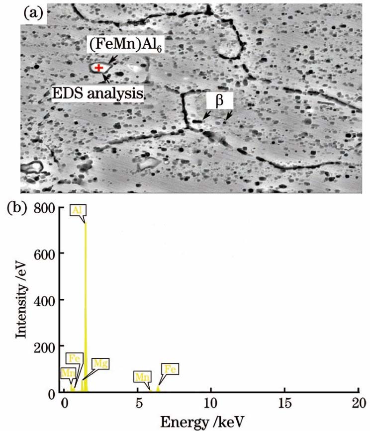 Microstructure of base metal. (a) Microstructural characteristics; (b) EDS analysis of strengthening phase