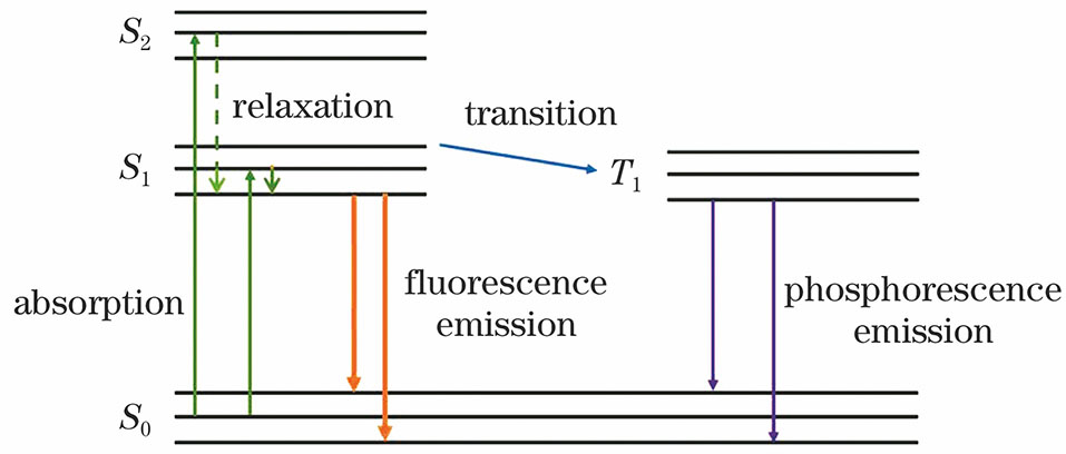 Principle of fluorescence emission