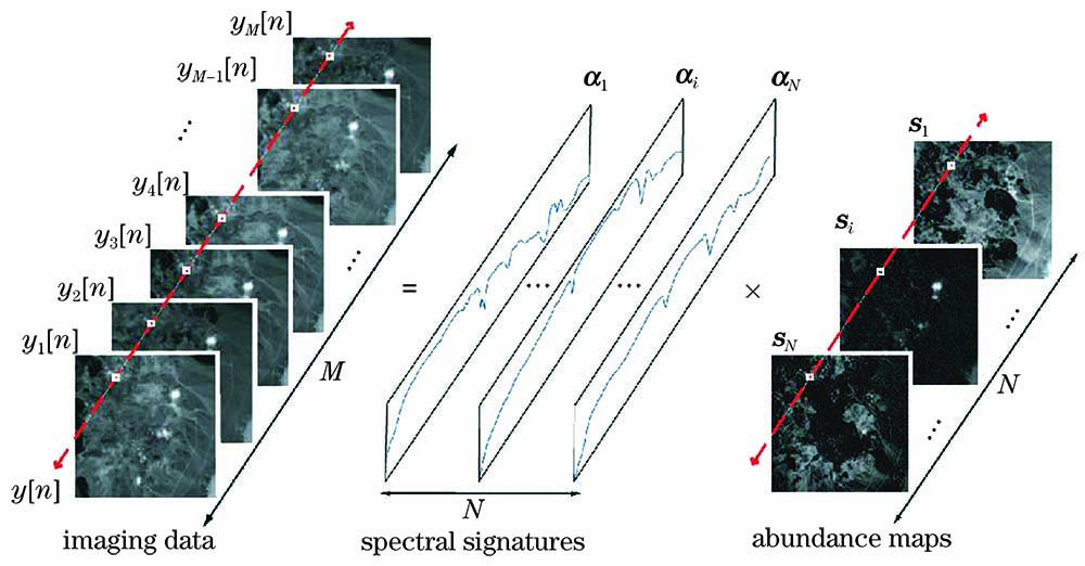Linear mixed model of hyperspectral images