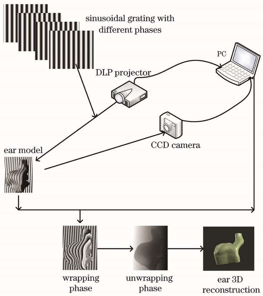 Schematic diagram of the structured light 3D reconstruction system