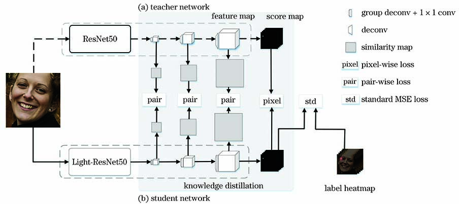 Overall framework of our algorithm. (a) Teacher network; (b) student network