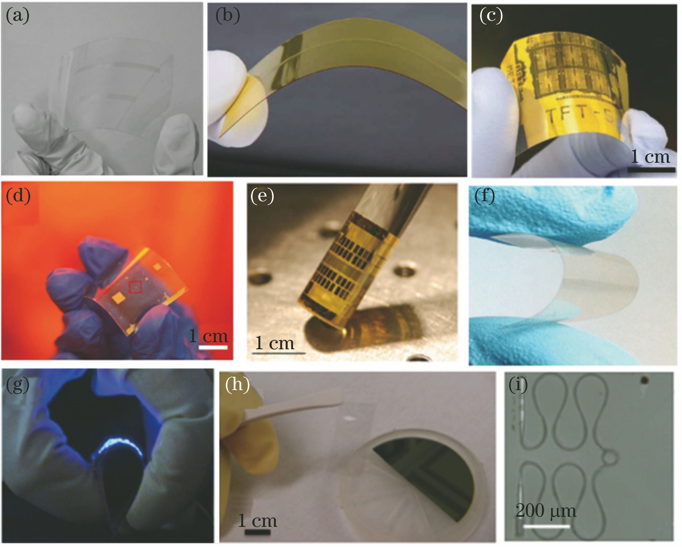 Flexible photonic devices based on different materials. (a) Flexible polymer waveguide cladded in PDMS[25]; (b) flexible optical waveguide cladded in PI[26]; (c) flexible Si NM phototransistor[34]; (d) array of Ge NM MSM photodiodes on PET substrate[75]; (e) 8 × 100 thin-film InGaAs p-i-n photodiode