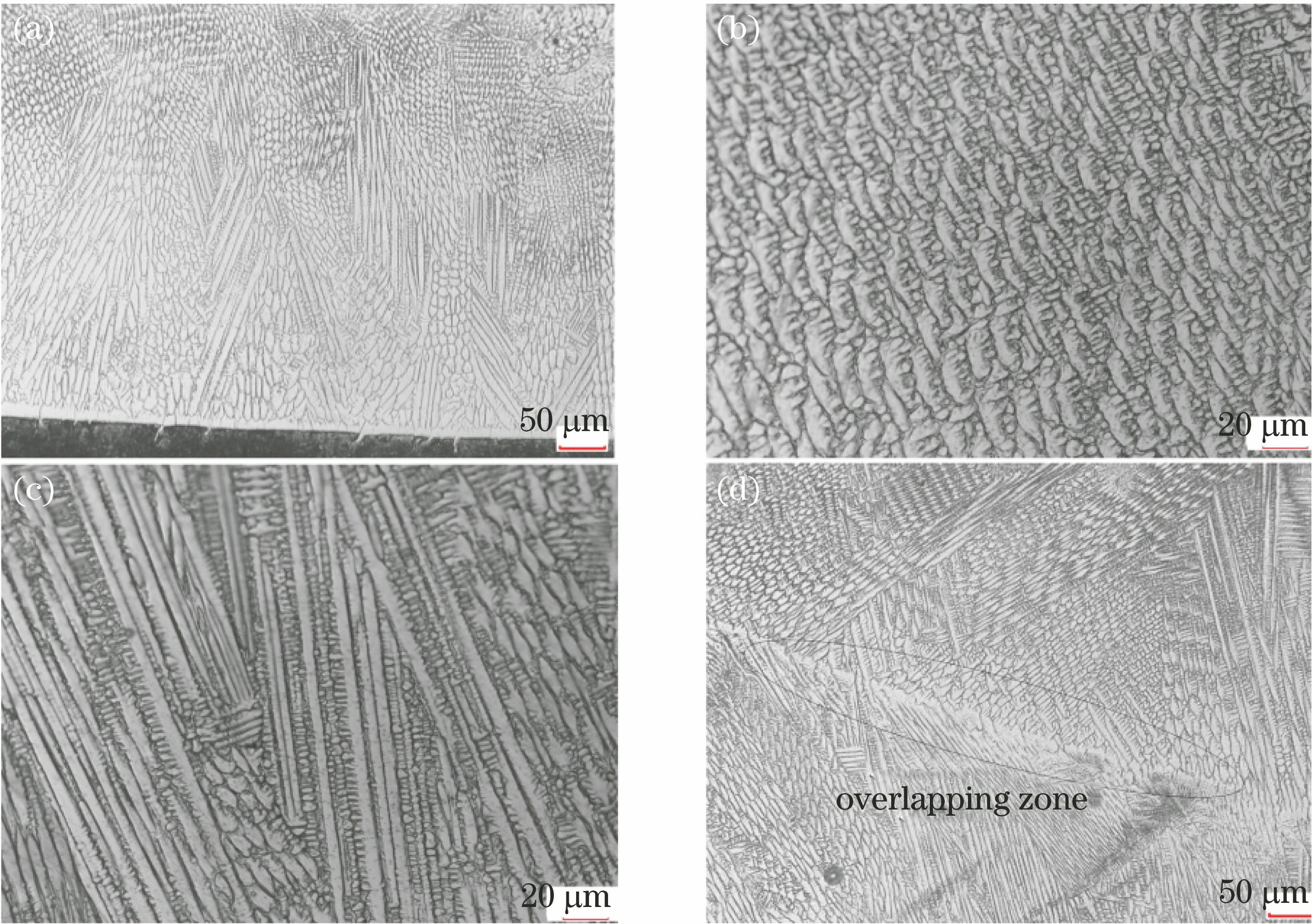 Microstructures of 316L coating. (a) Cross-sectional morphology; (b) microstructure of cellular crystal; (b) microstructure of columnar crystal; (d) microstructure of overlapping zone