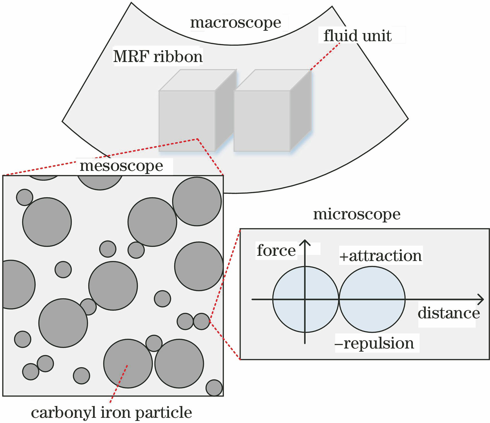 Multiphase granular flow model of MRF transient