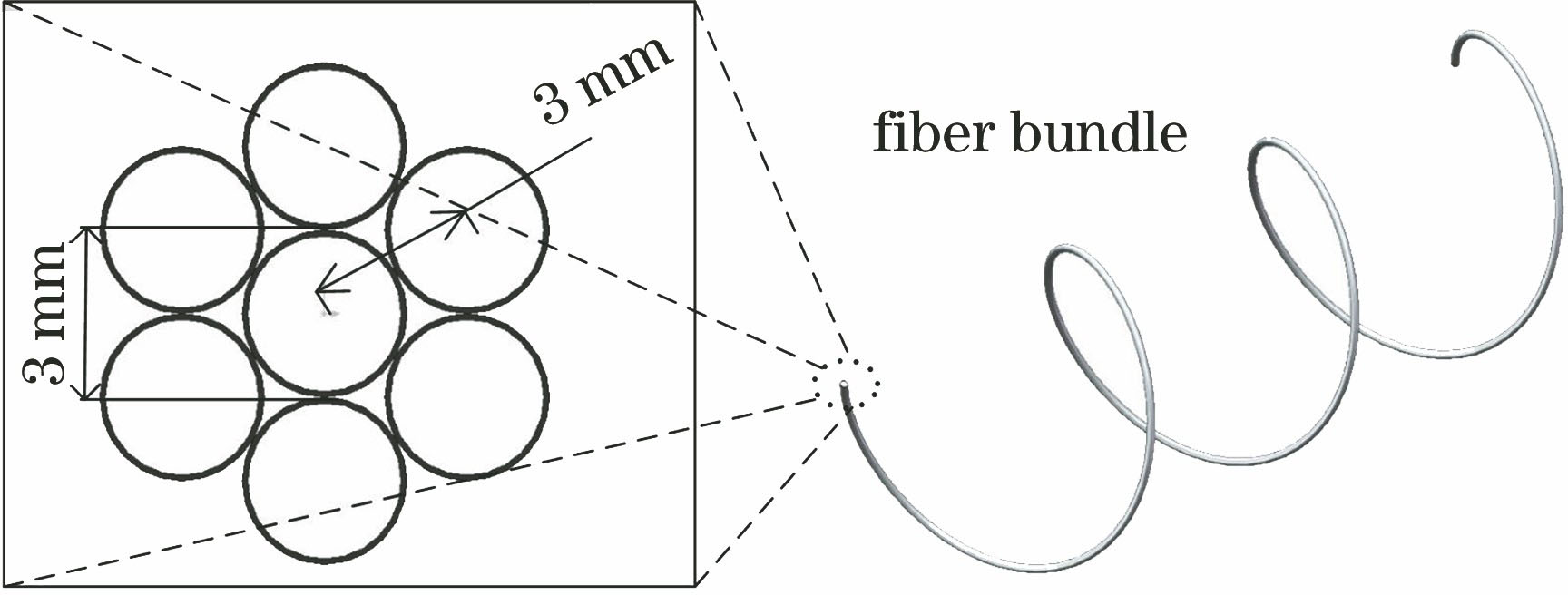 Diagram of fiber bundle and its end