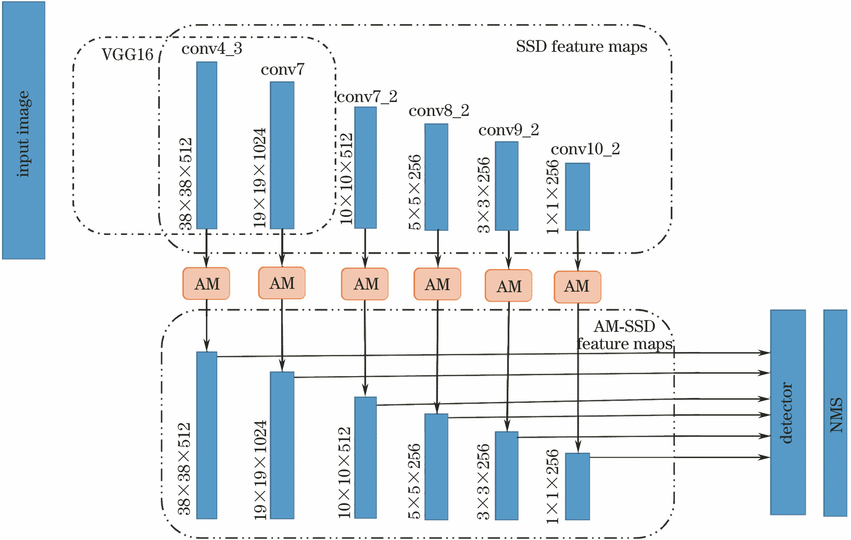 Network structure of AM-SSD algorithm