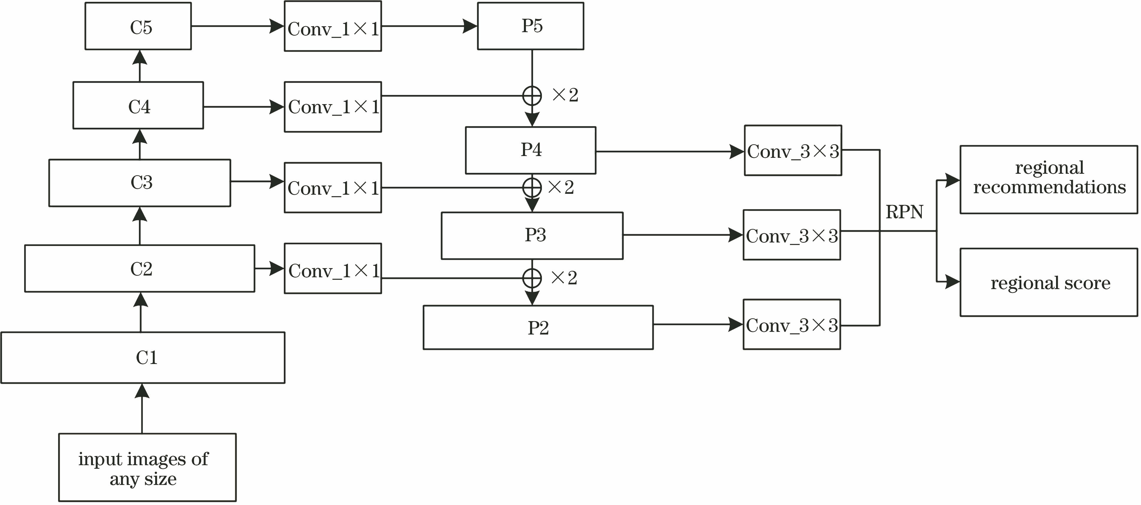 FPN+RPN algorithm network structure diagram