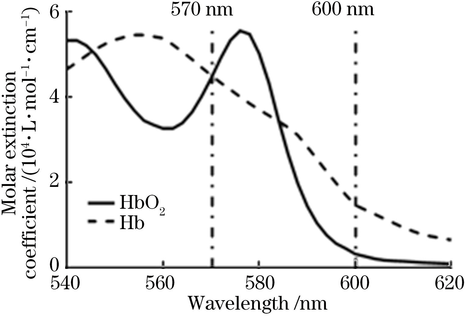 Extinction coefficient of HbO2 and Hb at different wavelengths