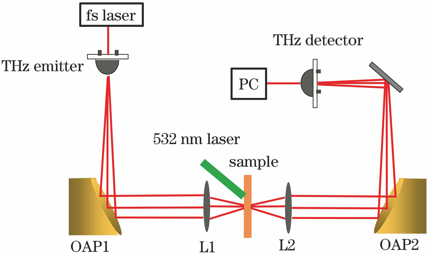 Installation diagram of THz-TDS. A 532 nm laser is obliquely incident upon the surface of the sample at an angle of 45° with the polar axis