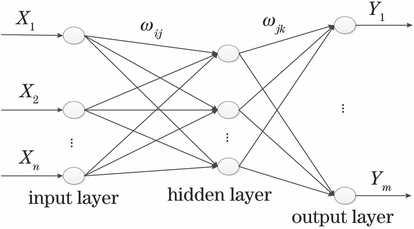 Topology structure of BP neural network