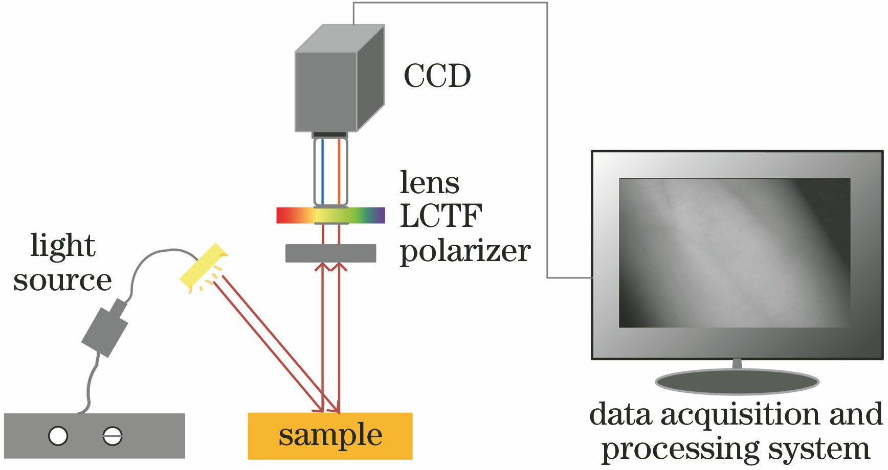 Schematic of hyperspectral imaging system