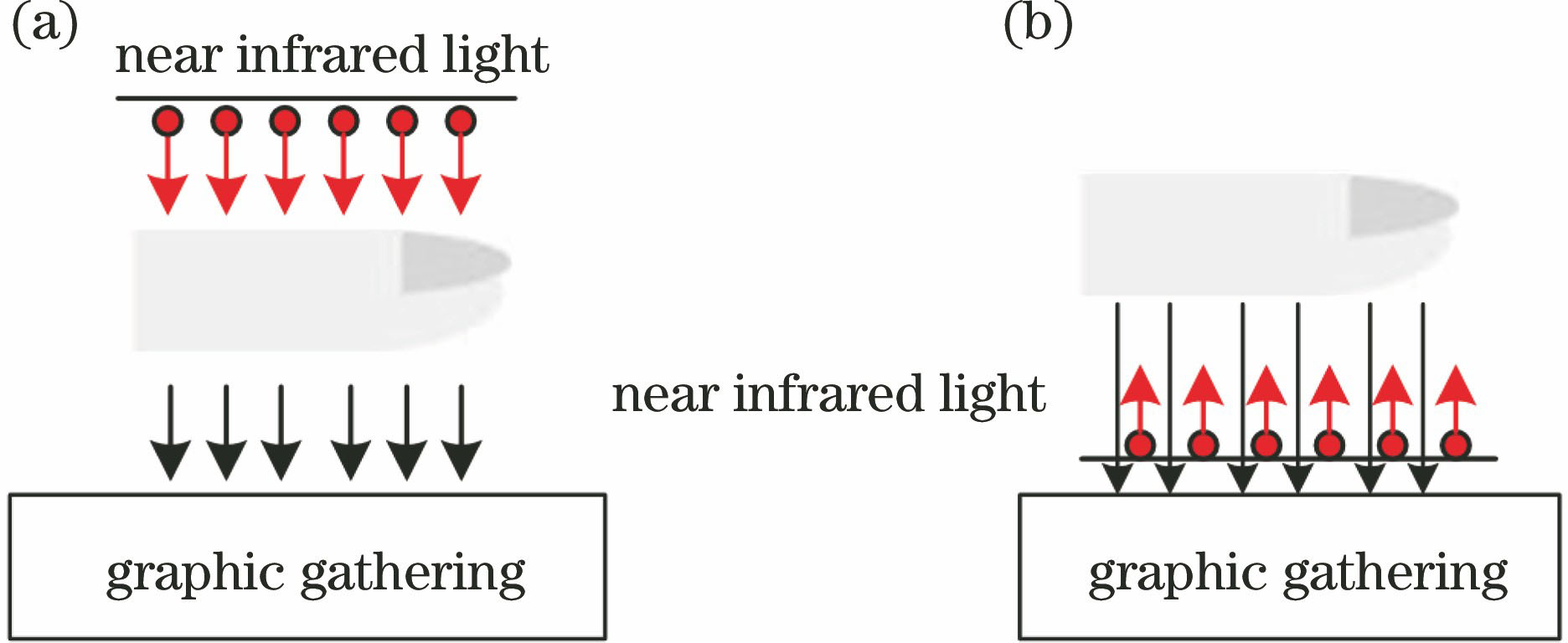 Image collection method. (a) Direct light collection; (b) light reflection collection