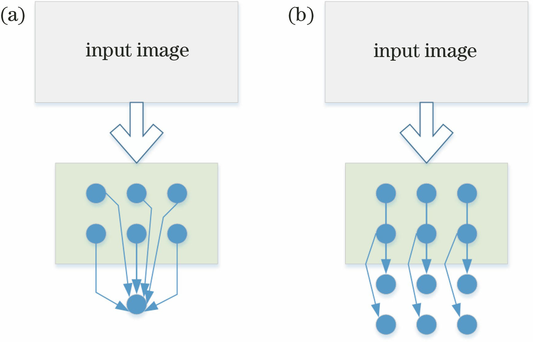 Different network models. (a) Classification model; (b) segmentation model