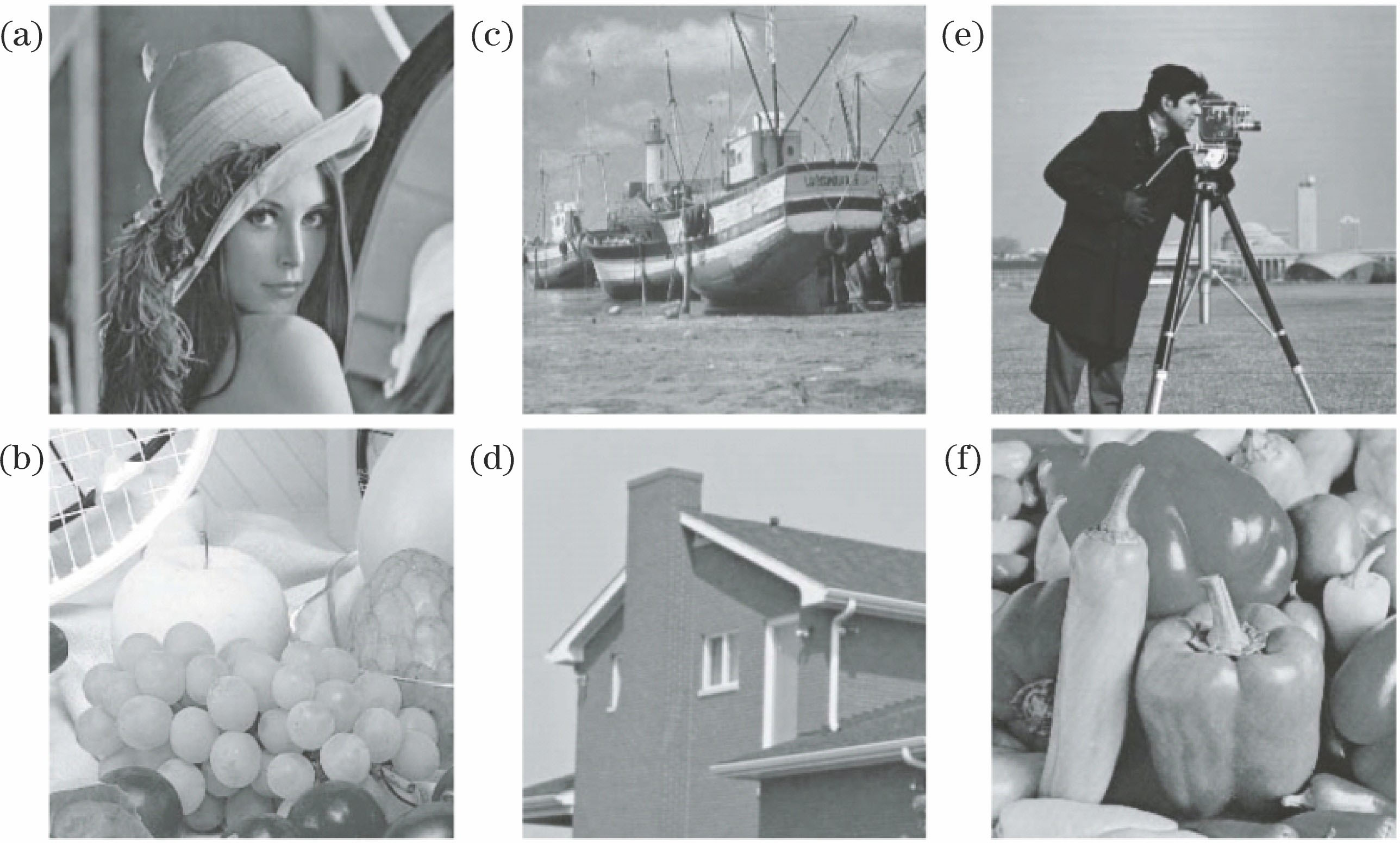 Some test images. (a) Lena; (b) Fruits; (c) Boat; (d) House; (e) Cameraman; (f) Peppers