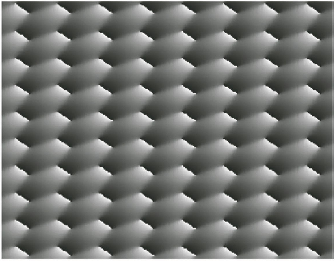 Simulated phase distribution of interference field[26]