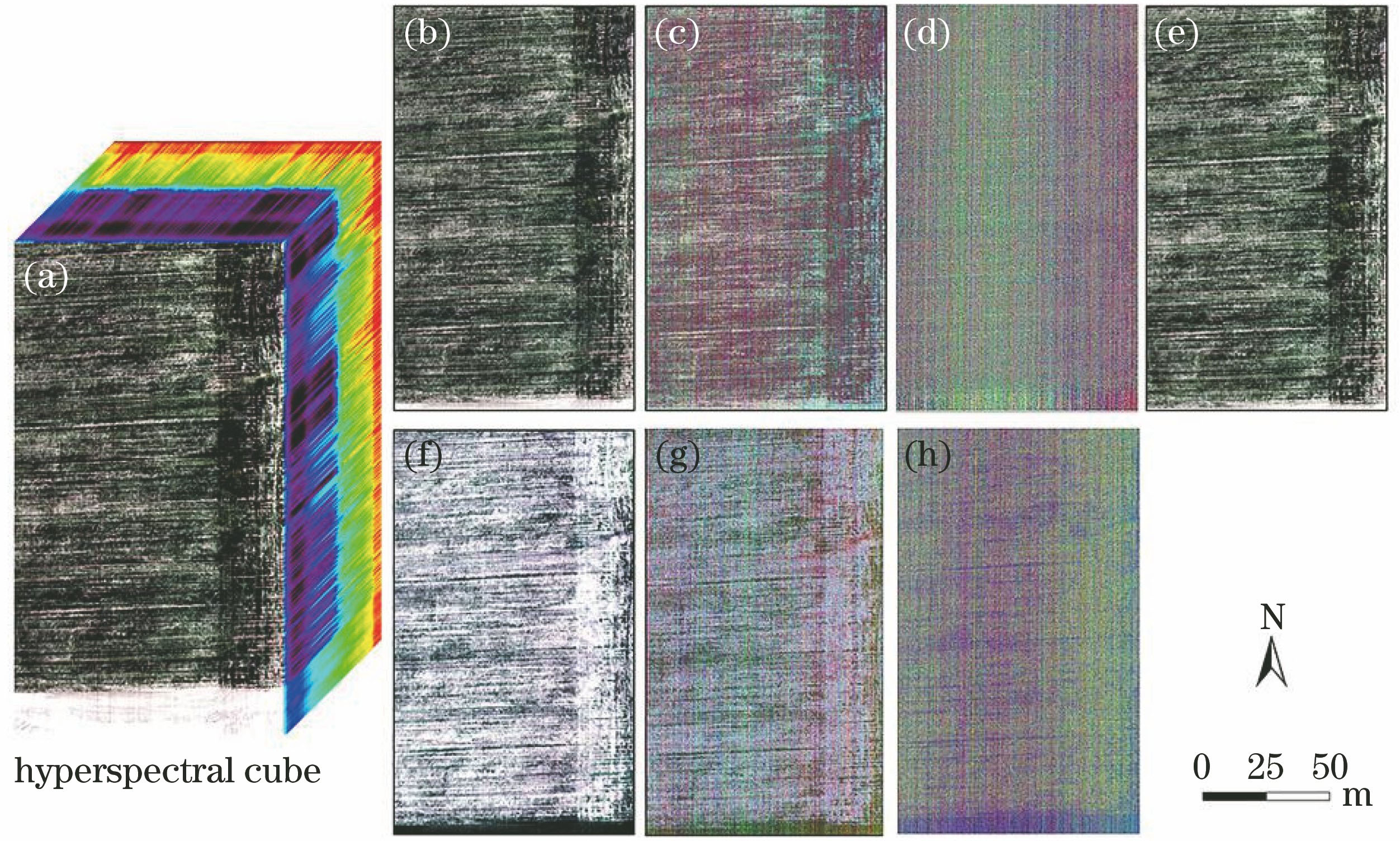 Hyperspectral images based on different pretreatments. (a) Three-dimensional image; (b) R; (c) FDR; (d) SDR; (e) CR; (f) A; (g) FDA; (h) SDA