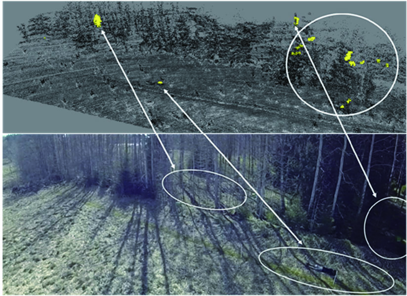 Drones equipped with security LiDAR for detecting intrusion target in forest scenario[15]