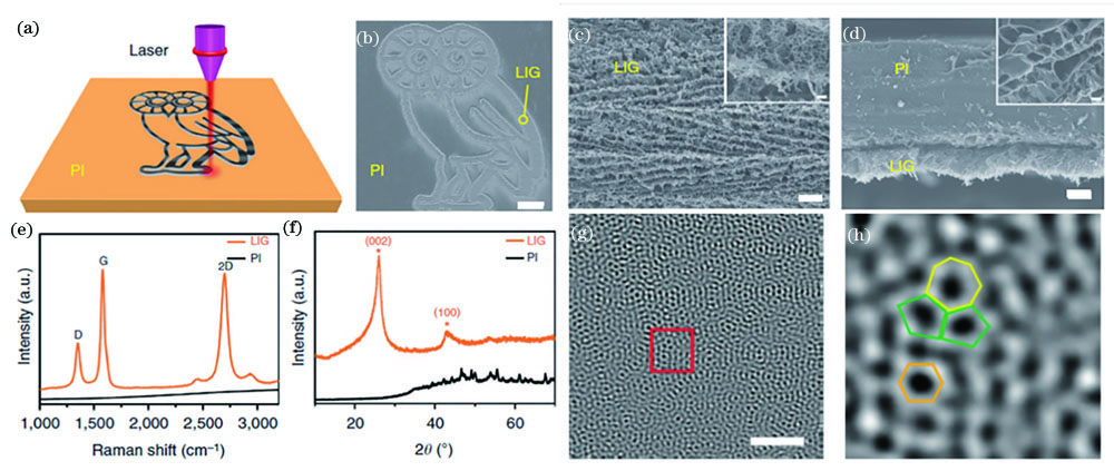 LIG formed on PI[36]. (a) Schematic of the preparation of LIG using a CO2 laser to ablate PI; (b) SEM image of LIG, the pattern is owl-shaped and the scale bar is 1 mm; (c) SEM image of the circled part in Fig.1(b), the scale bar is 10 μm, the inset is the corresponding SEM image with higher magnification and the scale bar is 1 μm; (d) SEM image of the cross-section of the LIG layer on PI substrate,