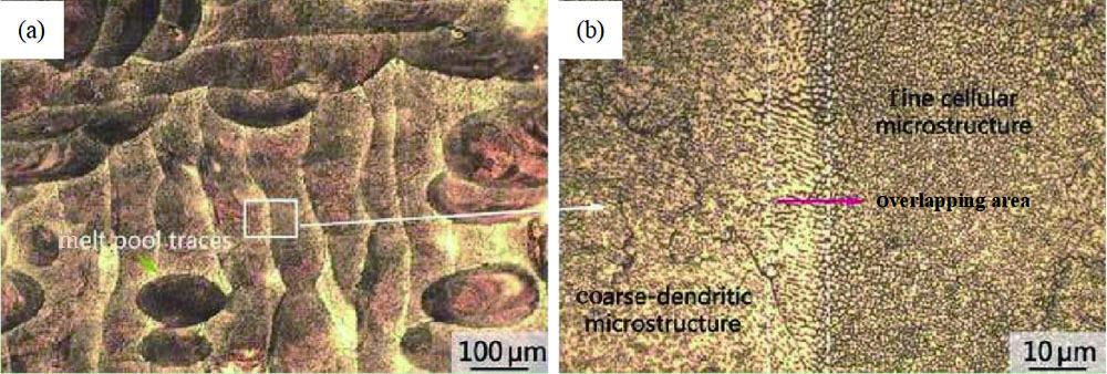 OM morphology of Al-Cu-Mg parts produced by SLM[5]. (a) Morphology of the laser tracks corresponding to alternating x/y-raster filling strategy; (b) detail of the scanning tracks in Fig. (a)