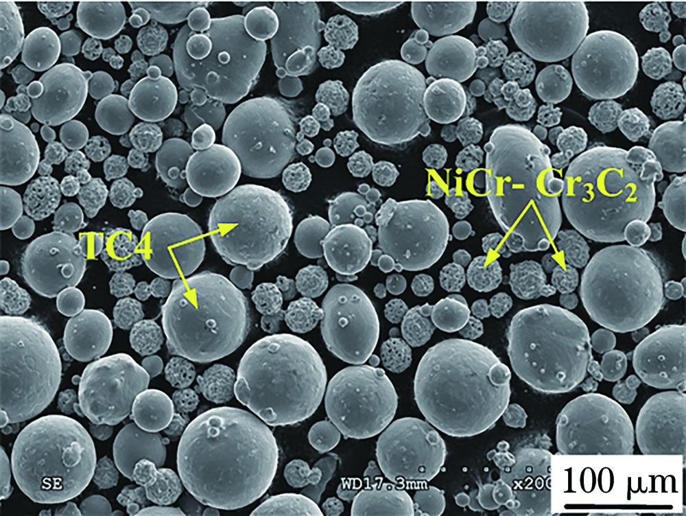 Micrograph of mixed powders