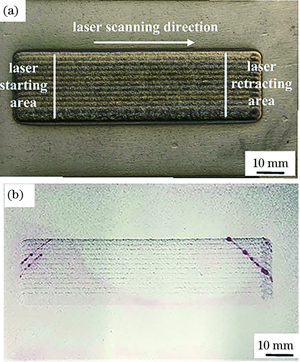 Surface morphology and penetrant detection of the coating. (a) Surface morphology; (b) penetrant detection