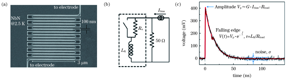 Superconducting nanowire single-photon detector (SNSPD). (a) Typical meandered nanowire; (b) equivalent circuit of SNSPD; (c) waveform of output pulse