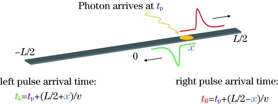 Schematic of reading the spatial and temporal information of a photon in a superconducting nanowire delay line