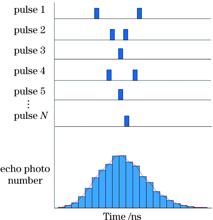 Histogram of time-correlated single photon counting distribution