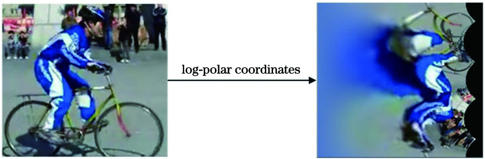 Schematic diagram of log-polar coordinates