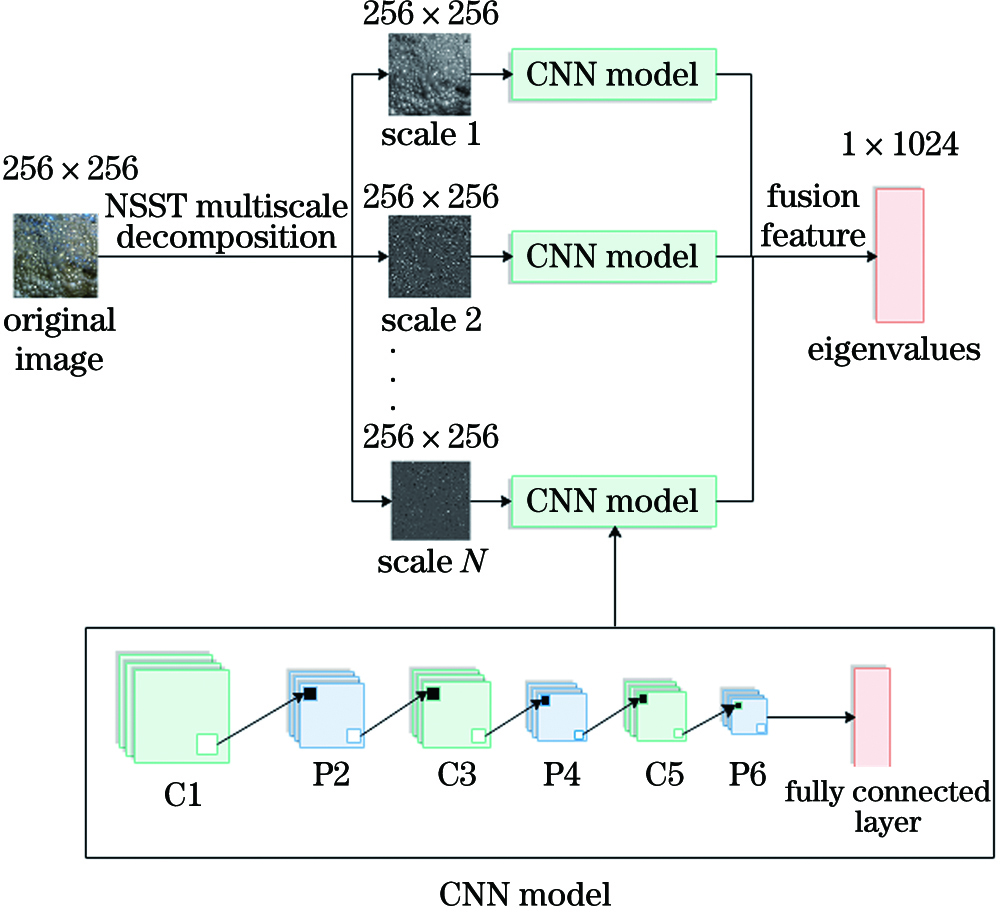Flow chart of the NSST-CNN model