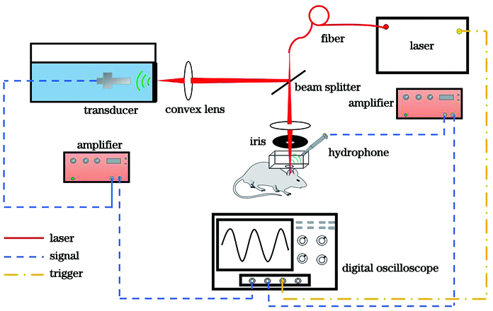 Schematic of photoacoustic spectrum analysis system