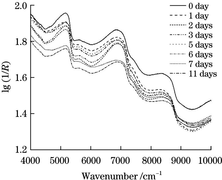 Absorbance curves of fish for different storage time