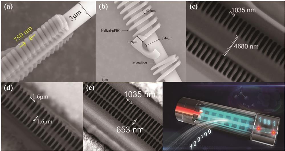 Various optical integrated waveguide devices fabricated by two-photon polymerization. (a) Linear polymer FBG integrated on microfiber surface [35]; (b) helical FBG integrated on microfiber surface[39]; (c) polymer waveguide FBG integrated in hollow fiber[40]; (d) polymer waveguide interferometer integrated in hollow fiber[41]; (e) all-optical modulator based on a polymer FBG integrated in hollow fiber[36]