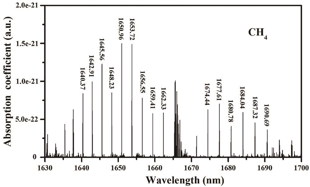 Absorption spectra of methane gas in the 1650 nm region