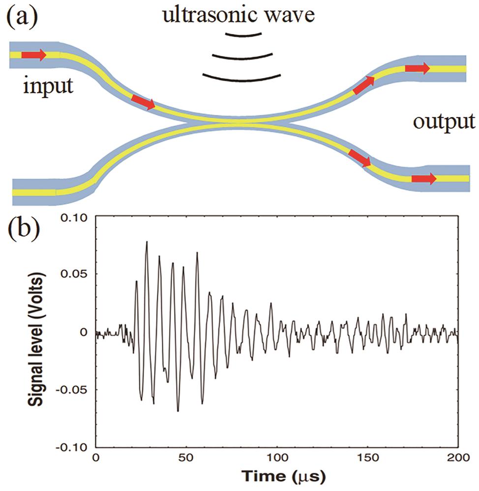 Optical fiber coupler-based ultrasonic sensor[29]. (a) Optical fiber coupler-based ultrasonic sensing structure; (b) time-domain response of the ultrasonic sensor