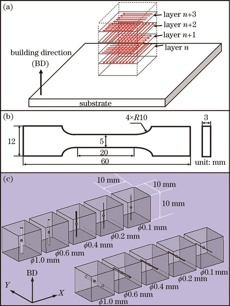 Details of high-power SLM experiments. (a) Laser scanning strategy; (b) schematic of tensile specimen; (c) schematic of micro hole samples